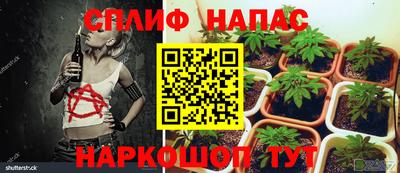 mdpv Нальчик