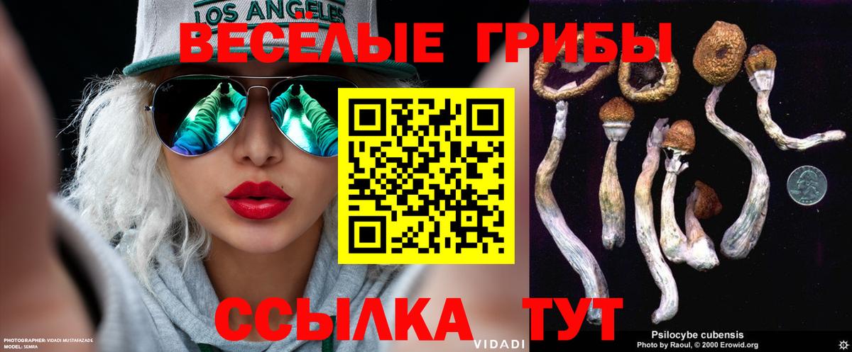 Хасавюрт  Псилоцибиновые грибы ЛСД  Вход с VPN  Псилоцибиновые грибы Magic Shrooms 